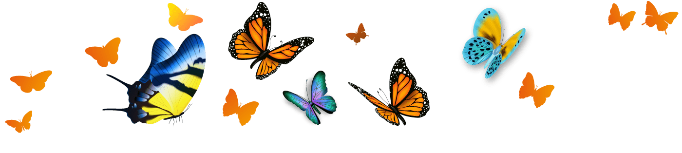 papillons